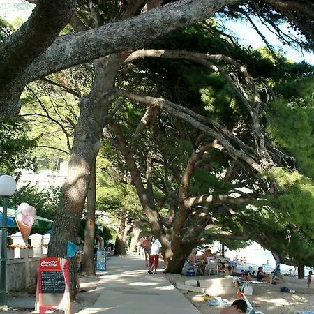 Appartement Luxury Brela